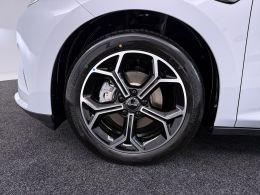 BYD Dolphin_G