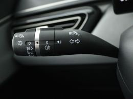 BYD DOLPHIN_SURF