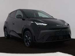 BYD DOLPHIN_SURF