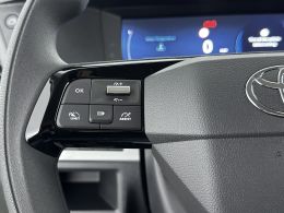 Toyota ProAce_Worker