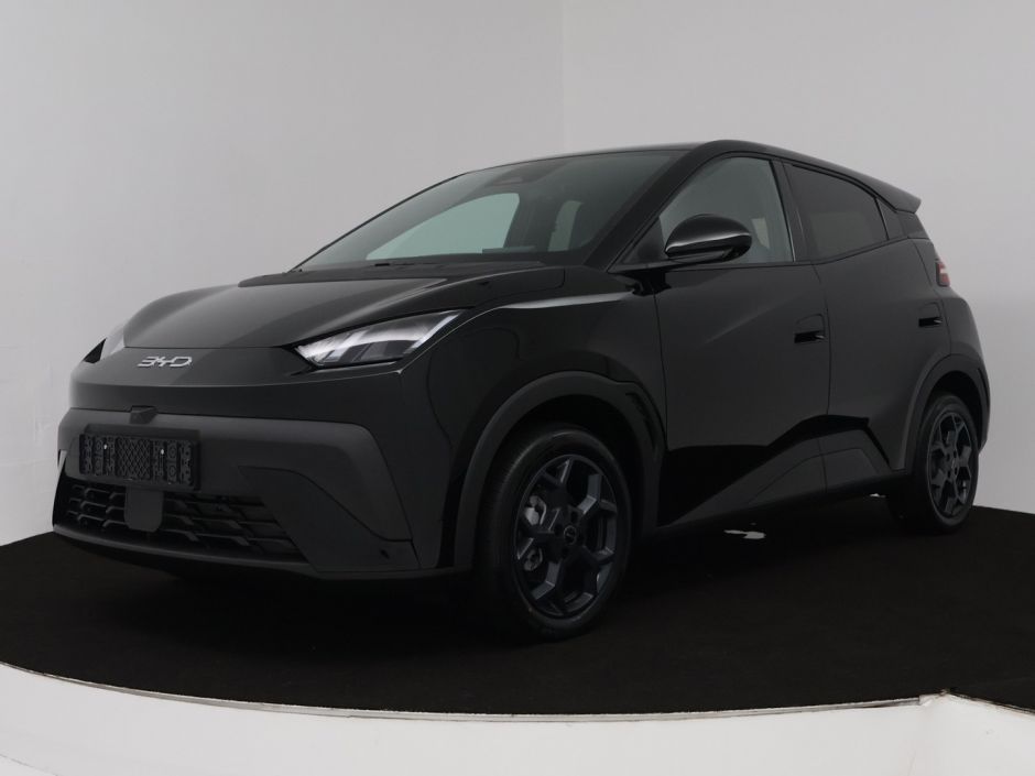 BYD DOLPHIN_SURF