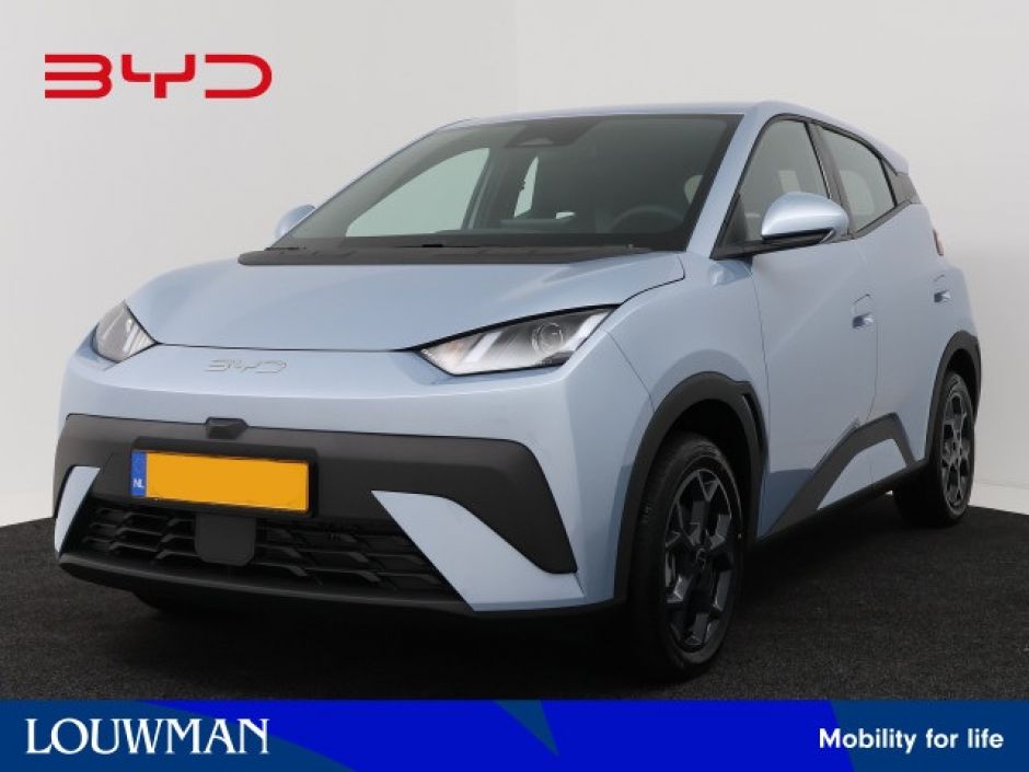 BYD DOLPHIN_SURF
