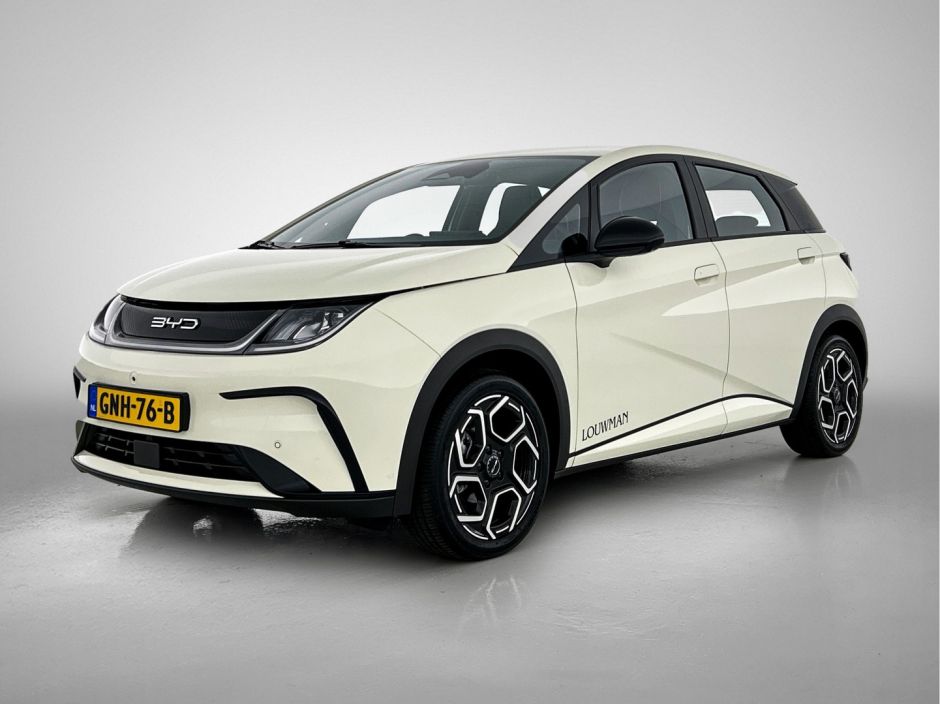 BYD Dolphin