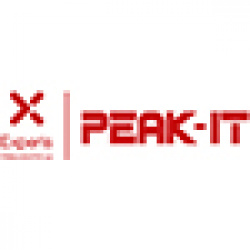 70 medewerkers van Peak-IT ontvangen Peugeot 208